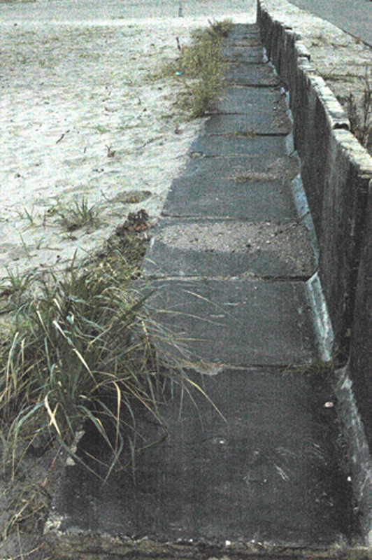 8-gang zum strand DSC_1364