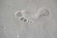 19-fussabdruckDSC_1400